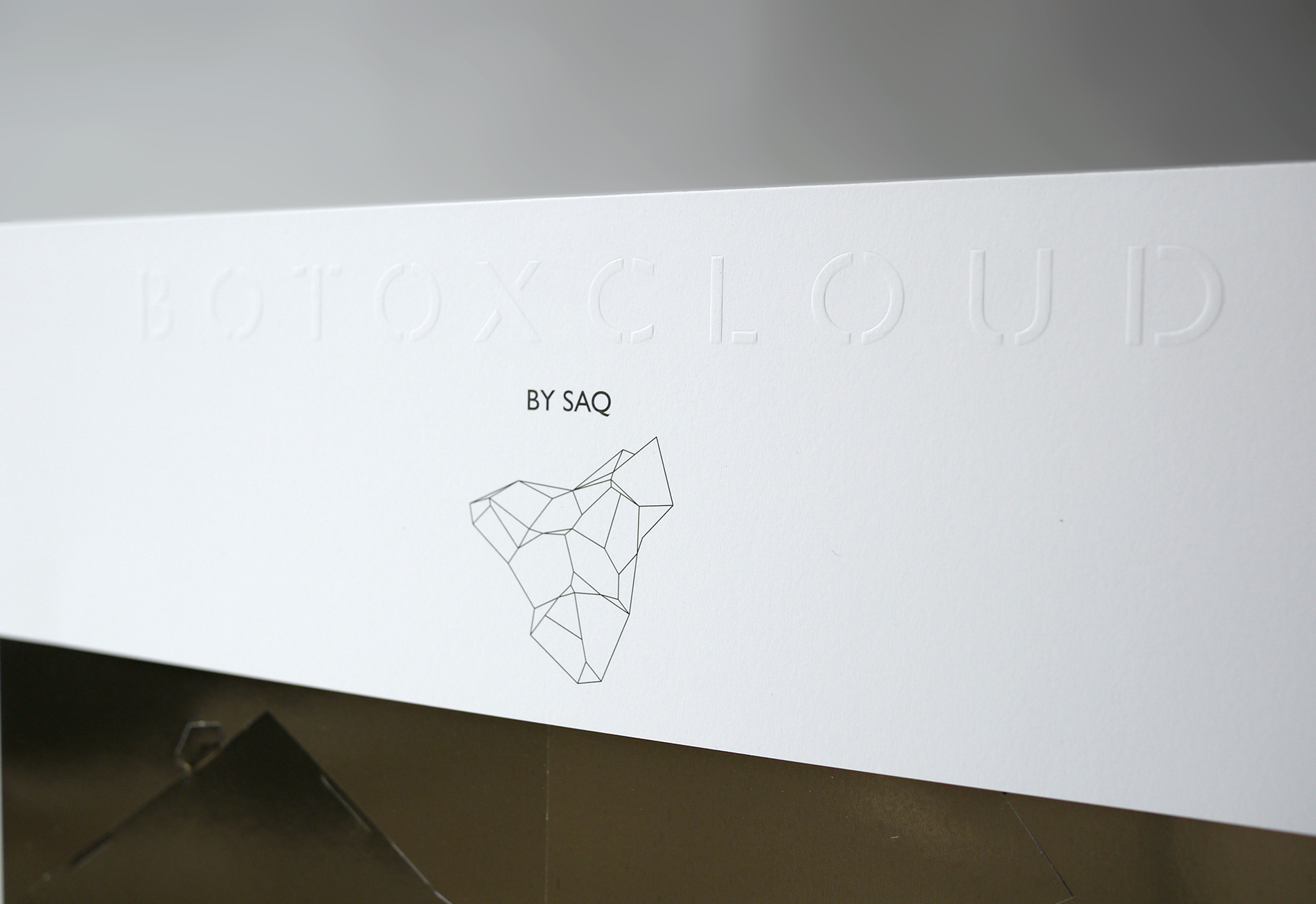 botoxcloud-edition-1-front