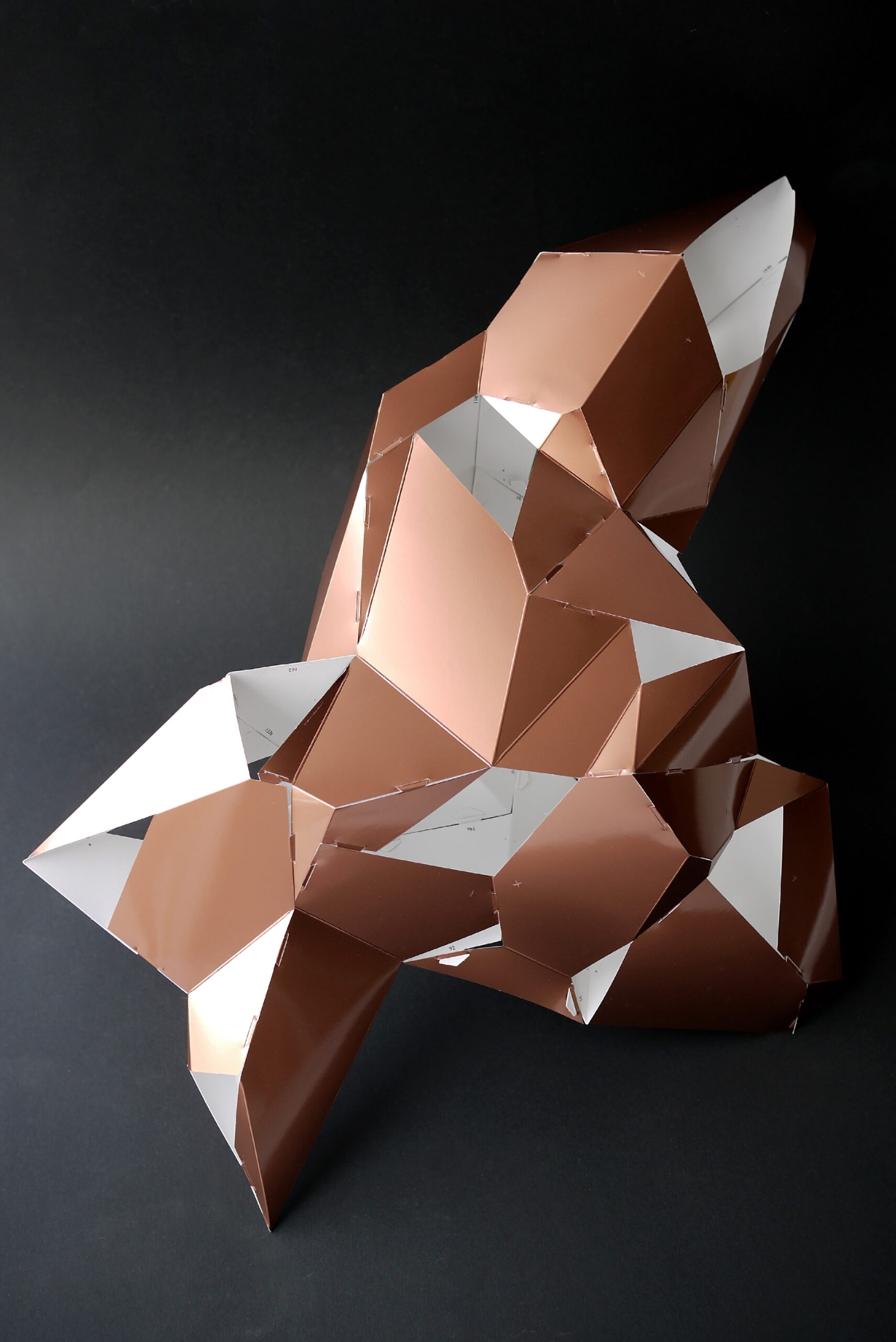 edition2-reverse-3.JPG