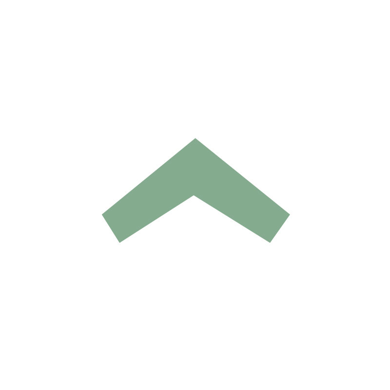 z-logo-06